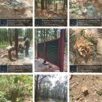 देहरादून : एक बार फिर से खतरे में खलंगा रिजर्व फॉरेस्ट ! 40 बीघा जमीन पर कब्जे का लग रहा आरोप :