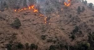 उत्तराखंड में भड़कने लगी जंगल की आग, फायर सीजन में 73 घटनाएं दर्ज, विभागीय वेबसाइट पर शून्य दिख रहे आंकड़े