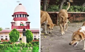 बच्चों पर कुत्तों के हमले: उत्तराखंड हाईकोर्ट ने सरकार को घेरा, मुख्य सचिव से 7 अगस्त तक मांगा जवाब