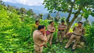 मसूरी-कीमाड़ी मार्ग पर दर्दनाक हादसा, बाइक फिसलने से 32 वर्षीय युवक की मौत